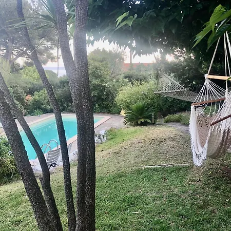 Avec Piscine Vue Le Lavandou