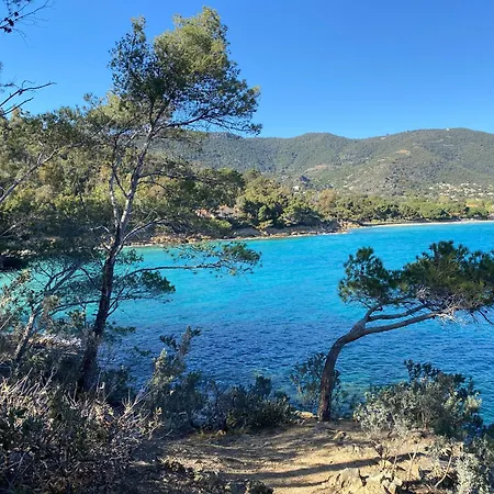 Avec Piscine Vue